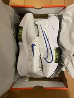 エアズームテンポNEXTフライニット