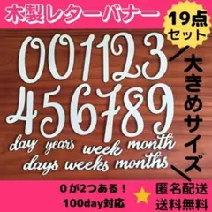 ▲ 大きめ【19点セット】木製 レターバナー 月齢フォト 100日 818のサムネイル