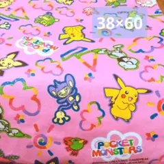 ポケットモンスター 生地 38×60 cm