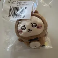 ちいかわ たぬきだもんくじ C賞 ぜったいたぬきな マスコット ラッコ たぬき
