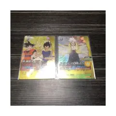 ドラゴンボールデータカードダスW爆裂インパクト　全23枚