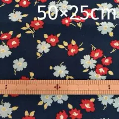 Item thumbnail for item 76355972-0ce4-46b2-902c-060a72475368