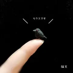 Item thumbnail for item 49bdde65-7c37-4921-9037-712081000588