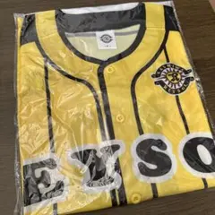 柏レイソル　ベースボールTシャツ