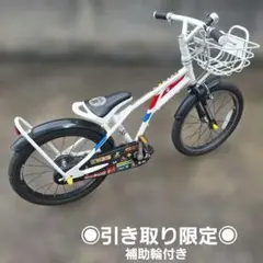 屋根付き自転車 デコチャリ 改チャリ ベースにも　ジャイロキャノピーの自転車版 屋根付き自転車 デコチャリ 改チャリ ベースにも ジャイロキャノピーの