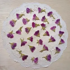 もゆる。様 リクエスト 3点 まとめ商品