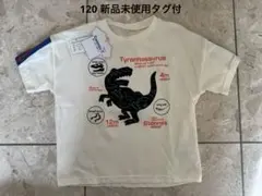 恐竜デザイン　半袖Tシャツ　120