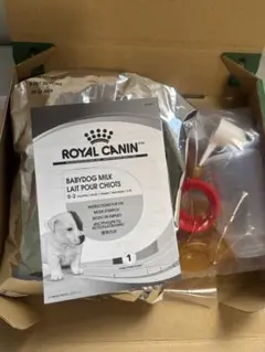 Item thumbnail for item 1b3f2610-aebf-4003-ac88-ec121c8e4dd9