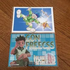 ハンター×ハンター エッチングポストシール&ポストカード ゴン