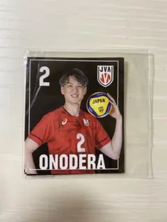 バレーボール　小野寺選手 公式カードセット