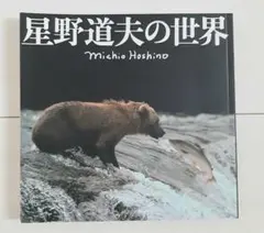 2025年最新】星野道夫写真集の人気アイテム - メルカリ