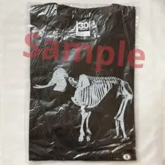 【未使用】エレファントカシマシ Tシャツ Jr.Lサイズ 象イラスト 黒 当時物 未使用】エレファントカシマシ Tシャツ Jr.Lサイズ 象イラスト 黒 当時
