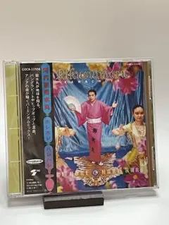 河内家菊水丸 河内音頭 広沢良一半生記 ロック河内音頭　サイン入り 2025年最新】河内家菊水丸の人気アイテム - メルカリ