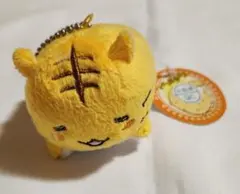 2026年最新】ポヨポヨ観察日記 ぬいぐるみの人気アイテム - メルカリ