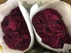 2026年最新】和バラの人気アイテム - メルカリ