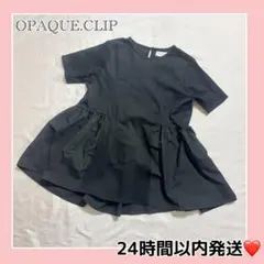 オペークドットクリップ ⭐シルク調コットン Aラインカットソー