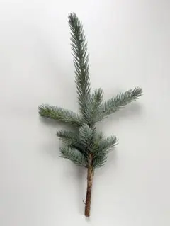 홉시 컷 브랜치 50cm