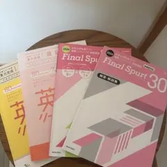 Item thumbnail for item 94aa6f2a-bf0e-46b2-b373-6abff0af464c