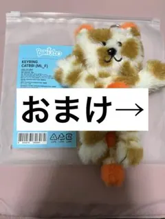 BOYNEXTDOOR ソンホ