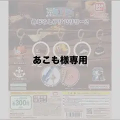 ONEPIECE めじるしアクセサリー2