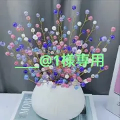 ____@1様専用10点