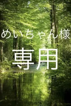 めいちゃん様専用