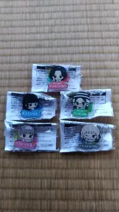 LE SSERAFIM ちびぐるみポーズ！おなまえアクリルバッジ 全５種セット