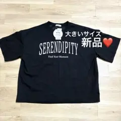 ふみふみ様専用☆anna addCOLOR Tシャツ　ブラック　LLのサムネイル