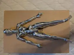 1/6 女性素体 ボディ マネキン メッキ