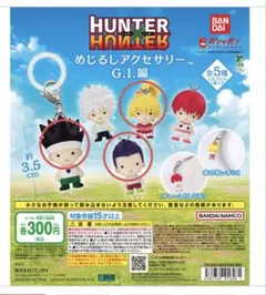 HUNTER×HUNTER ハンターハンター めじるしアクセサリー 3種