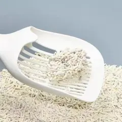 Item thumbnail for item ed3dd975-835e-46e9-b832-654e947a0b67