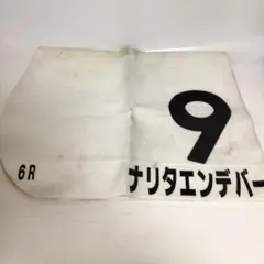 Item thumbnail for item b8f44272-5287-4d13-ba00-a7c60679d273