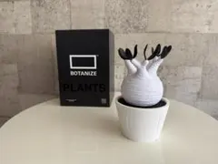 2026年最新】botanize 鉢の人気アイテム - メルカリ