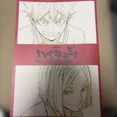 ハイキュー!! キャラクターアート A4サイズ
