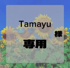 Tamayu様専用