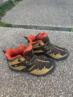 Item thumbnail for item 447ad855-b1c1-4abf-bfd6-86f63c0bd1ff