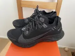 2025年最新】ペガサス トレイル 2 gore-texの人気アイテム