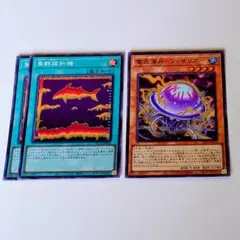 遊戯王 電気海月 フィサリア 魚群探知機 フィッシュソナー 