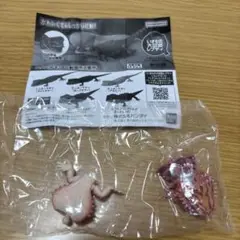 いきもの大図鑑　レプティ