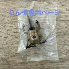 りん様専用出品　カブトヨソオイ
