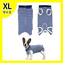 Item thumbnail for item 19fcdd0a-a4ff-42bd-93dd-0ee97801c21c