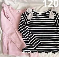 petit main 120 女の子 カットソー 長袖 Bee ボーダー ロンT