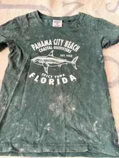 Item thumbnail for item 501fea64-59c7-415e-b4f7-a6335c398080