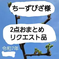 ちーずぴざ様 リクエスト 2点 まとめ商品