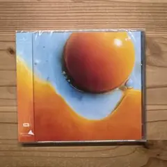 【新品未開封】あにゅー　RADWIMPS ラッド
