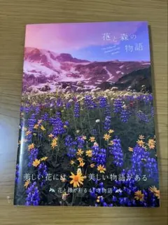 Item thumbnail for item 63739767-bd51-417b-b08a-04b4da3322fe