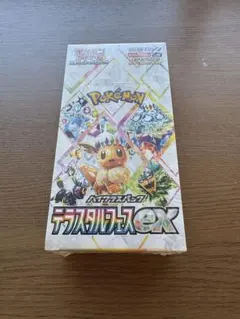 ポケモンカードゲーム テラスタルフェスEX未開封BOX