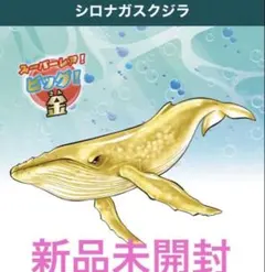 くじらアタック&coビック シロナガスクジラ金