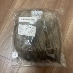 Item thumbnail for item 31132370-17af-4769-8cf2-be710618a381