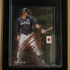 プロ野球チップス